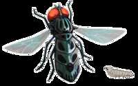 https://images.plurk.com/6NQFJNPQWzg9oeC2YaZ55w.png