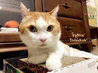 https://images.plurk.com/6NSAu74qOiwSTGB8WfcS.jpg