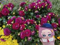 https://images.plurk.com/6NVUrhrtMXMBMTotMHWgVx.jpg