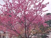 https://images.plurk.com/6NYFkUtQiCPfX0jOxT7uNV.jpg