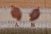 https://images.plurk.com/6NbyWkOH4qhGfQx3Ywpqcl.jpg