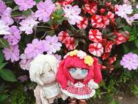 https://images.plurk.com/6NdWH8UKSBoB0gtT2qZma3.jpg