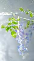 https://images.plurk.com/6NiQ91qwJmPXUU4MG18nQx.jpg