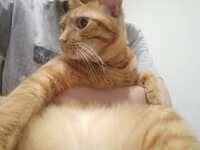 https://images.plurk.com/6Nj2czZMVYQ5q6nP5oXuGH.jpg