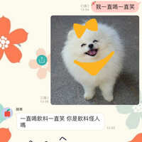 https://images.plurk.com/6NjKSwWw3E9166AhI5fDWT.jpg