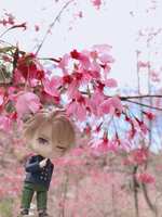 https://images.plurk.com/6Ns1nTqD0UsfXwsc3DPiIr.jpg