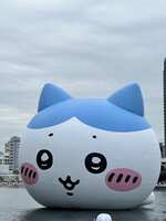 https://images.plurk.com/6NzjXrySpl9liiGHYoVgo8.jpg