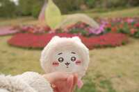 https://images.plurk.com/6O3mpaIkt4XH6CWP3YpcBR.jpg
