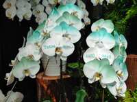 https://images.plurk.com/6O4dO4JxPqK6Zb8IKpHFvz.jpg