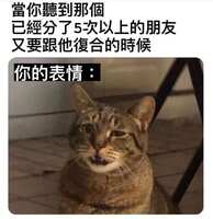 https://images.plurk.com/6O96ijrhCI8W9n38gqTIR9.jpg
