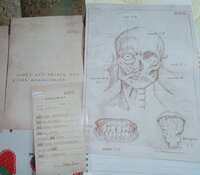 https://images.plurk.com/6OIkTDGlE7QdVHwSiYbL26.jpg