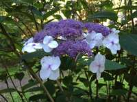 https://images.plurk.com/6OInBBKy4JlBm8fqLAOGqi.jpg