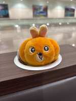 https://images.plurk.com/6OP18q3FxkDg11KooFO3Xo.jpg