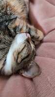 https://images.plurk.com/6OXJwWpqTr9baZSm4SlZMc.jpg
