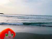 https://images.plurk.com/6OZ8i45KKdCbLV54jY12KV.jpg