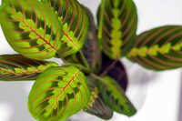 https://images.plurk.com/6OaBOv2at4499OLZygzLPU.jpg