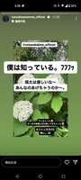 https://images.plurk.com/6OoA5cuX2gShmb4c9mYEjl.jpg