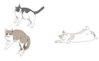 https://images.plurk.com/6OrDnKSsv2XGwDt17fvnGT.png