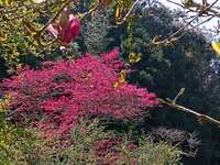 https://images.plurk.com/6OsFsqLMmDHWWq64ukWtY4.jpg