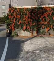 https://images.plurk.com/6OtqB79Za81ebsdAkNTPOU.jpg