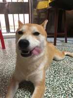 https://images.plurk.com/6OujXFlS2bKlnJVag4qwRr.jpg