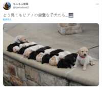 https://images.plurk.com/6P3rcxSjkskfRxL4L3ISuh.png