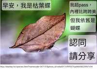 https://images.plurk.com/6P9LeLD6jvJ0n096cRb2Qp.jpg