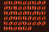 https://images.plurk.com/6P9pXqQm3b5sJwVYvNhkwJ.jpg