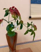 https://images.plurk.com/6PECyO5j00b4D401a22BYz.jpg