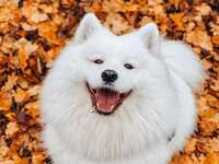 https://images.plurk.com/6PFHrRQrKC3YgSiNOW68qT.jpg