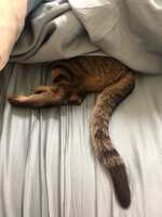 https://images.plurk.com/6PFSkJHxWT2THKuMcg7L1z.jpg