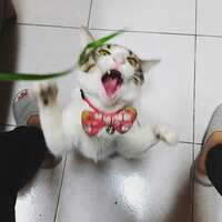 https://images.plurk.com/6PJEmlFzOXckA9xTlBttxV.jpg