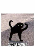 https://images.plurk.com/6POvSmO9Cw69sXLk8DXdhY.jpg