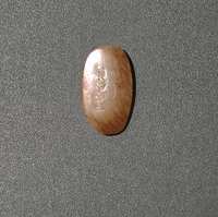 https://images.plurk.com/6PUKpvN6BitZzmBA67dFZq.jpg