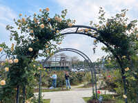 https://images.plurk.com/6PWbXktVwdPiR3PHRoEoCD.jpg