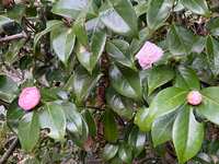 https://images.plurk.com/6PcaRvQOVD1RdA1dS1lcCB.jpg