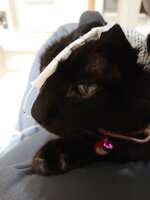 https://images.plurk.com/6PgTCefv163nGyEyiqsvBx.jpg