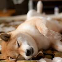 https://images.plurk.com/6PruC6jbYMdZtKsbGVh3JR.jpg