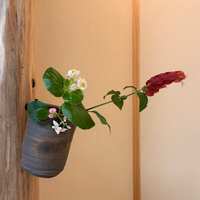 https://images.plurk.com/6Q1kkeRwmnMUrLSOmB2qQk.jpg