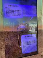 https://images.plurk.com/6Q5lWNkyWgMrTrRfn84BZy.jpg