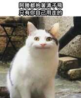 https://images.plurk.com/6Q8fxvrgp7GlJns9Tb1x79.png