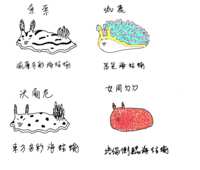 https://images.plurk.com/6QC11F7K6hH6G1BWTdwEHx.png