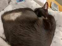 https://images.plurk.com/6QFhfKXrlpW0krhayZSnEL.jpg