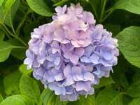 https://images.plurk.com/6QLV1XkXsQCX9WwXwYlOiw.jpg
