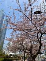 https://images.plurk.com/6QM96nyGEope2HlV0fq1z5.jpg
