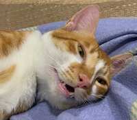 https://images.plurk.com/6QRynylgvKsZLWTuaalMPl.jpg