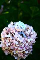 https://images.plurk.com/6QV9sfNT7ZtWpiEfnbIvE9.jpg