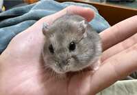 https://images.plurk.com/6QWQ4zrdNr4MgtulcWQa8.jpg