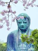 https://images.plurk.com/6QYTkecB73TfTu4HdFqx2w.jpg