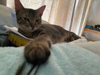 https://images.plurk.com/6QZwMFkHgedDYu6hh2BepC.jpg